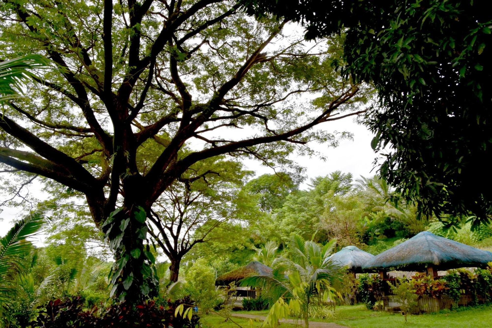 Isla De Oro Hotel Mamburao Exterior foto
